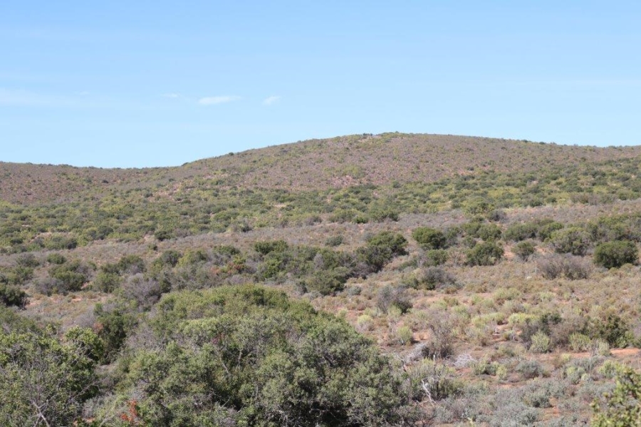 Commercial Property for Sale in Oudtshoorn Rural Western Cape